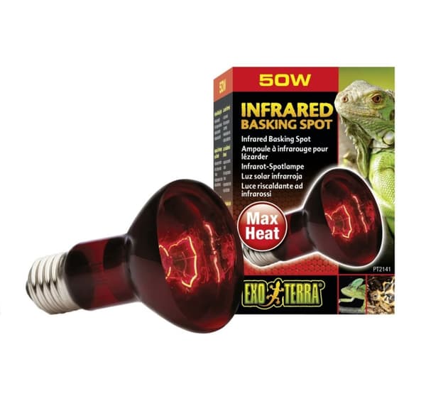 Terrarium lampe Infrarød Basking Spot R20 50w PT2141