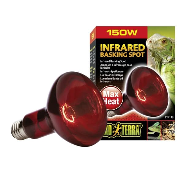 Terrariumlampe Infrarød Basking Spot R30 150w PT2146
