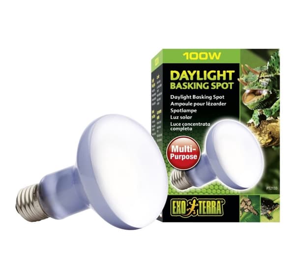 Terrariumlampa Daylight Basking Spot R25 100w PT2133