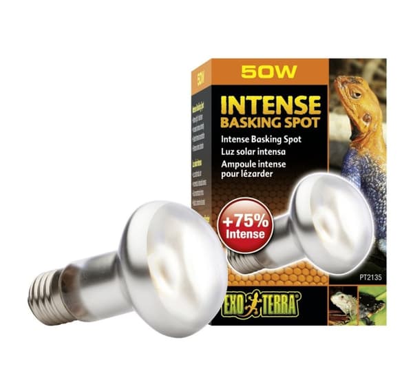 Terrariumlampe Intense Basking Spot S20 50w PT2135
