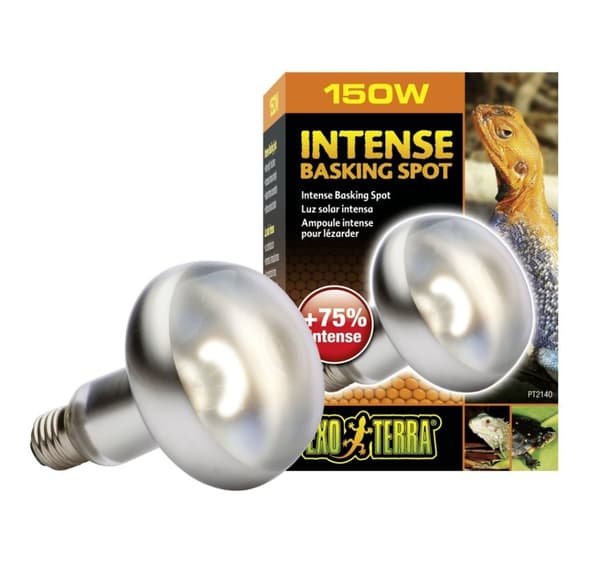 Terrariumlampe Intense Basking Spot S30 150w PT2140
