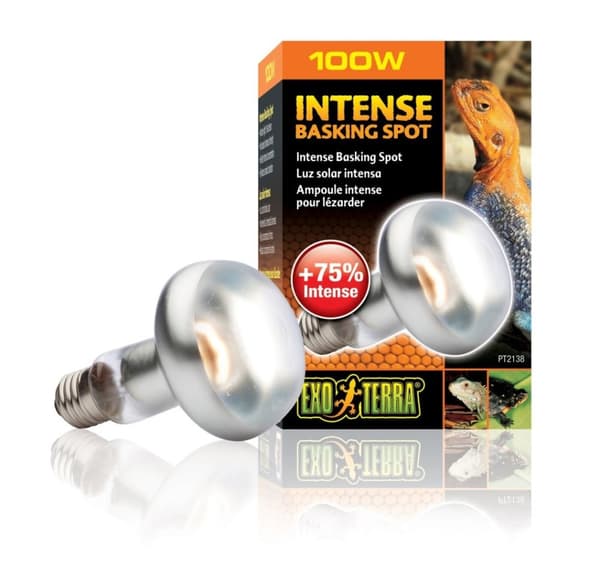 Terrariumlampe Intense Basking Spot S25 100w PT2138