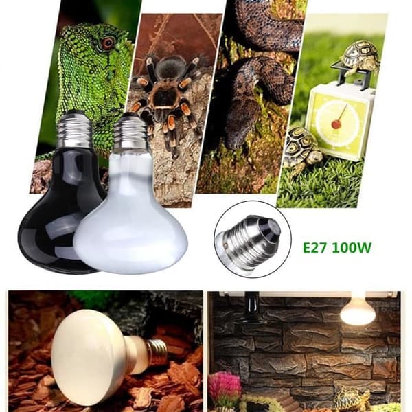 E27 100W infraröd värmelampa UVA Terrarium Vivarium Reptile Heat Black