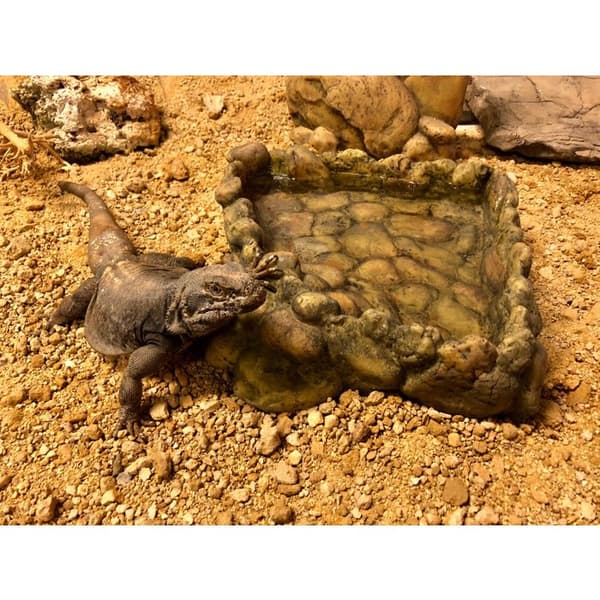 Bol med vattenhörn för reptil, storlek stor - Exo Terra