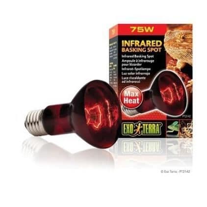 BASKING SPOT infraröd lampa 75 W