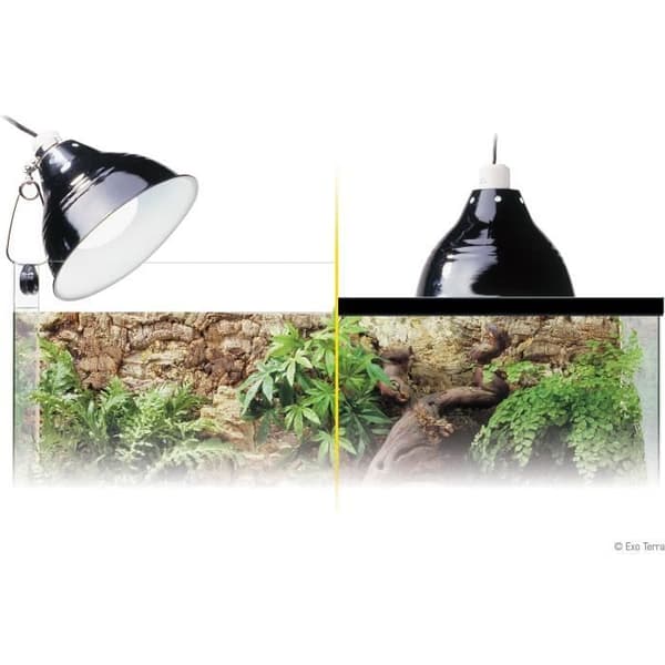 Belysning för terrarium - EXO TERRA - Glow Light S - Klämma med porcelänsockel - Ljusreflektor - Dag/natt - 14cm