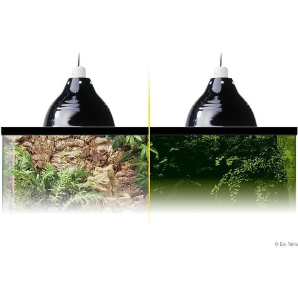 Belysning för terrarium - EXO TERRA - Glow Light S - Klämma med porcelänsockel - Ljusreflektor - Dag/natt - 14cm