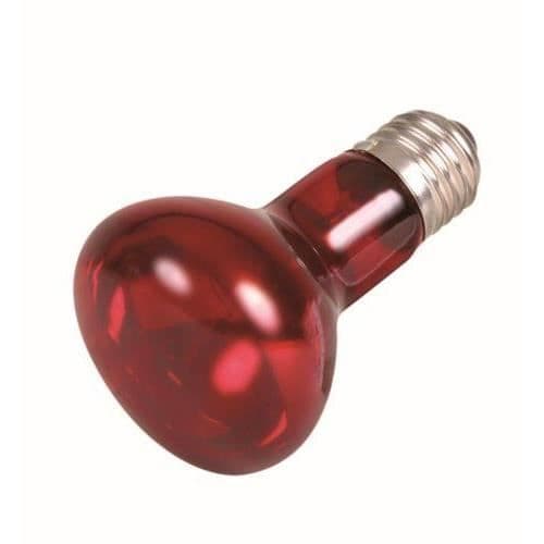 Infraröd lampa - Trixie - 35 Watt - 63 x 100 mm - Paket med 4 - För reptiler