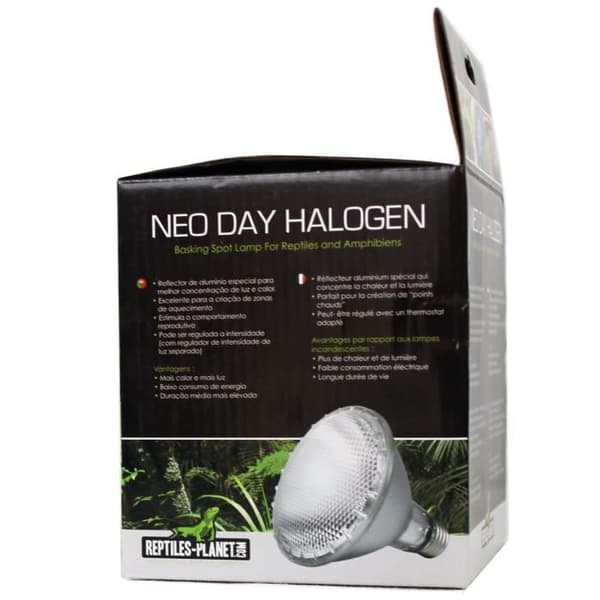 Belysning för reptiler Neo Day Halogen 50 W REPTILES-PLANET