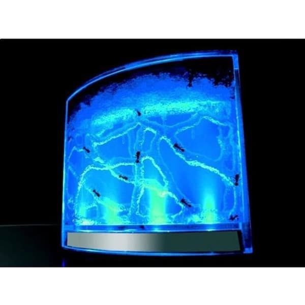 Antworks: Vivarium för myror med led evolutionär miljö med vetenskapsspelbelysning