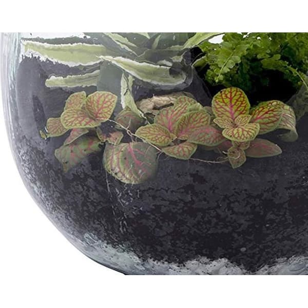 PIETRE DRENANTE 5 KG FÖR EKOSYSTEM TERRARIUM PERAGASHOP VÄXTER KRUKA VÄXTHUS TERRARIUM