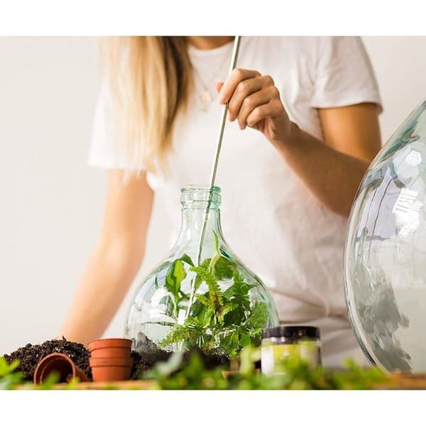 PIETRE DRENANTE 5 KG FÖR EKOSYSTEM TERRARIUM PERAGASHOP VÄXTER KRUKA VÄXTHUS TERRARIUM