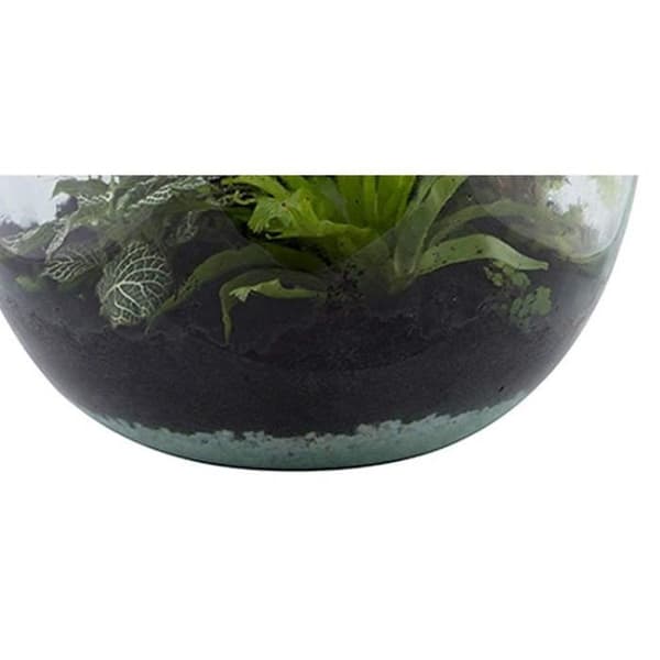 PIETRE DRENANTE 5 KG FÖR EKOSYSTEM TERRARIUM PERAGASHOP VÄXTER KRUKA VÄXTHUS TERRARIUM