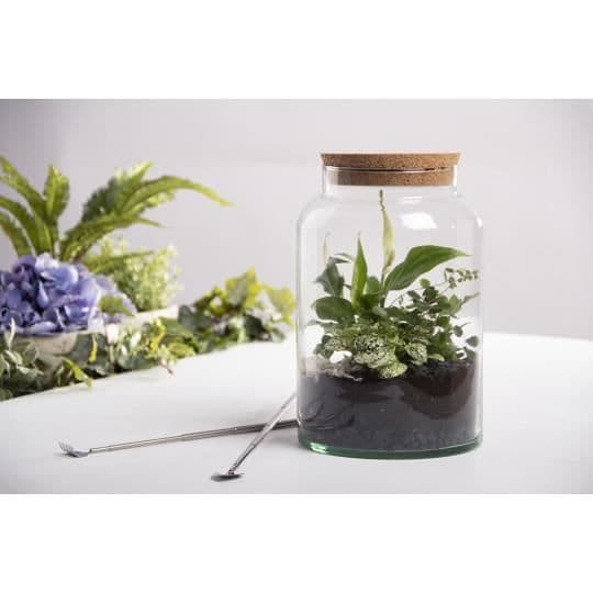 Pot pour terrarium - ESSCHERT DESIGN - 32 cm - Glas - Kork - Reptil