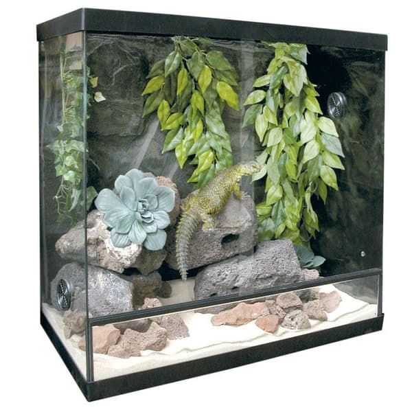 Vivarium - Ica terrarium - TRS75 - Repti-Selva Glasterrarium