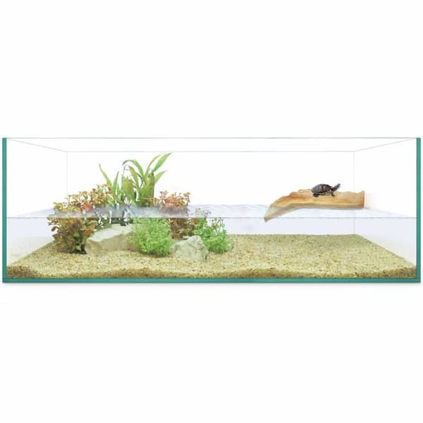 Vivarium - Ica terrarium - AAS60 - Turtles Isla 60 Reptiselva 9000 g