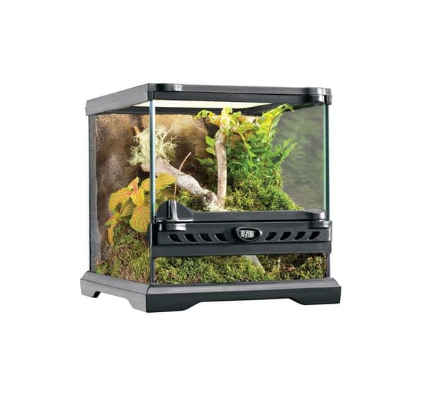Glasterrarium Exo-Terra Natural Terrarium Nano 20x20x20cm PT2599