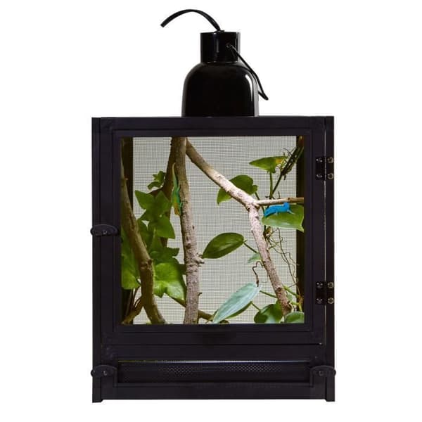 Nano Breeze Terrarium 25x25x30 - Zoomad - Reptil - Glas - Rektangulär