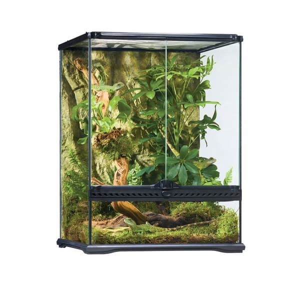 Glasterrarie Exo-Terra Natural Terrarium Lille/høj 45 x 45 x 60 cm (PT2607)