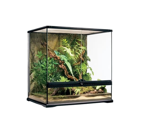 Glasterrarie Exo-Terra Natural Terrarium 60 x 45 x 60 cm Medium (PT2612)