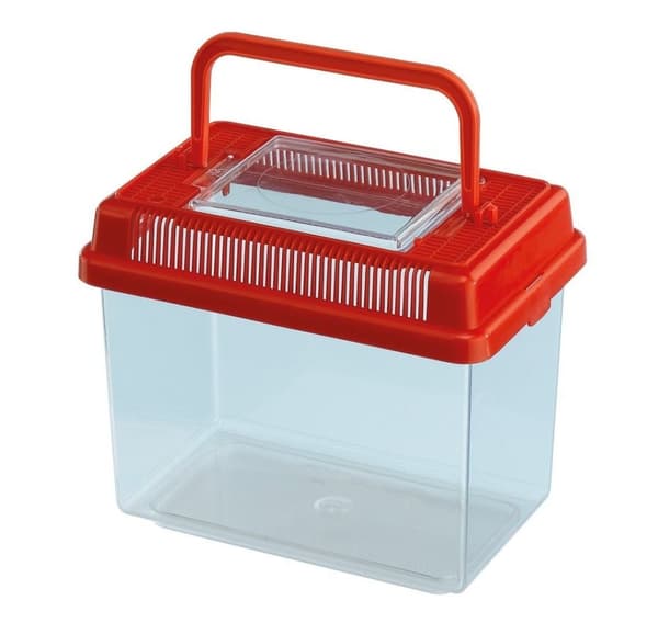 Plast terrarium Geo, lille, 18x11x14/1L