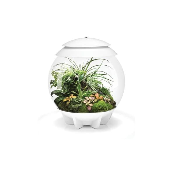 Oase automatiserat terrarium 30l vit - Air30white