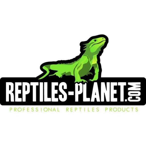 Reptiles-Planet Anodiserad aluminiumnätterrarium för kameleonter fjärilar bönsyrsa pinn insekter M 43x43x66 cm