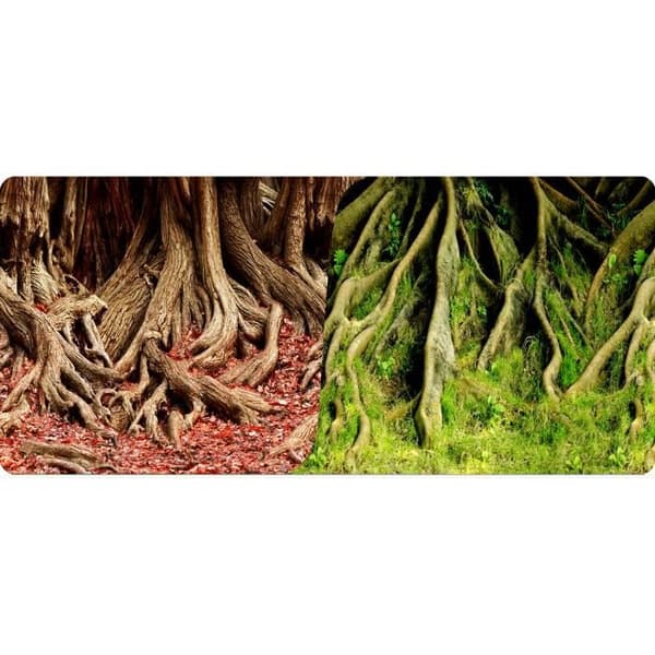 Reptiler-planetPoster Amazonas Trädrötter 2 ansikten 1 rulle av 15 meter Höjd 40 cm för terrarium