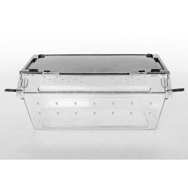 Reptiler-Planet Boite för uppfödning av reptiler eller insekter Premium 24x16.5x10.5 cm för terrarium