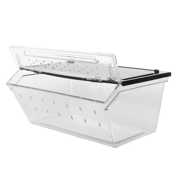 Reptiler-Planet Boite för uppfödning av reptiler eller insekter Premium 24x16.5x10.5 cm för terrarium