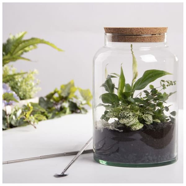 Pot pour terrarium - ESSCHERT DESIGN - 32 cm - Glas - Kork - Reptil