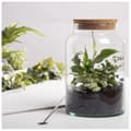 Miniatyrbild 3 av 3: Pot pour terrarium - ESSCHERT DESIGN - 32 cm - Glas - Kork - Reptil