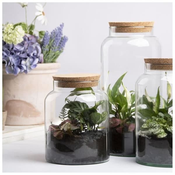 Terrariebottle - AC-DÉCO - 10 L - Återvunnet glas - Korklock - Transparent