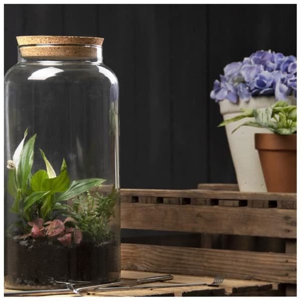 Terrariebottle - AC-DÉCO - 10 L - Återvunnet glas - Korklock - Transparent