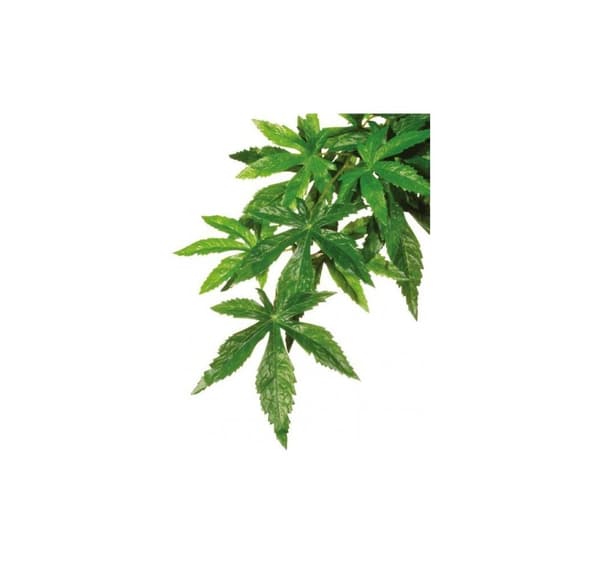 Terrarium dekoration silke plante, medium, EXO-TERRA