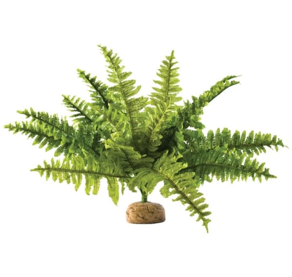 Terrarium dekoration Boston bregne, medium, EXO TERRA