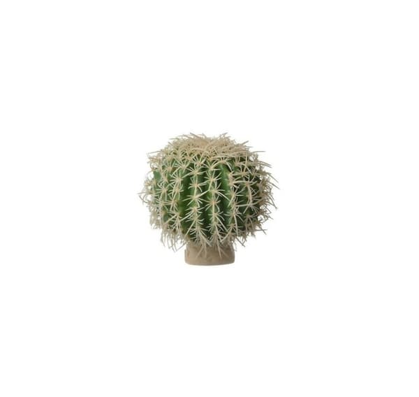 Terraariokoristelu Barrel Cactus PT2980, EXO-TERRA