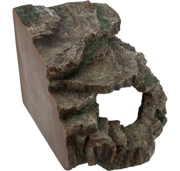 Hjørneklippe med hule og platform, regnskov, 24 × 19 × 25 cm