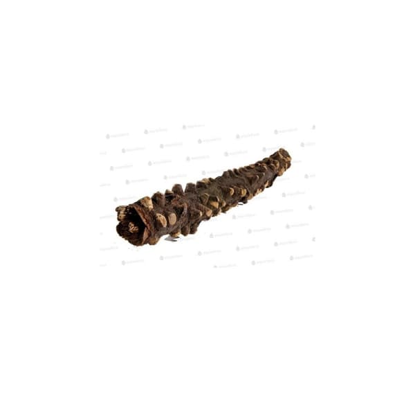 Terrarie dekoration, Eyes Wood 20-30cm
