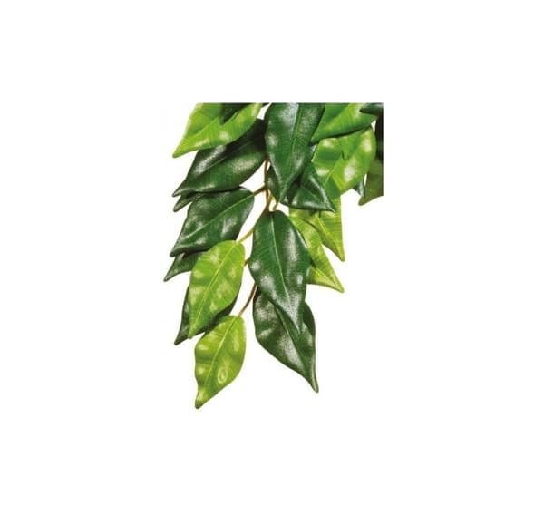 Terrariedekoration, silkeplante, stor ficus, EXO-TERRA