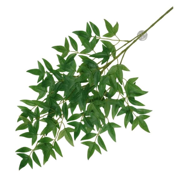 Hengende plante med sugekopper Nandina 65x35x1,5cm grønn