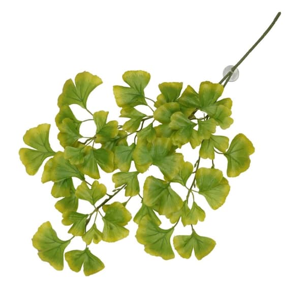 Hængende plante med sugekopper Ginko 63x36x5cm grøn