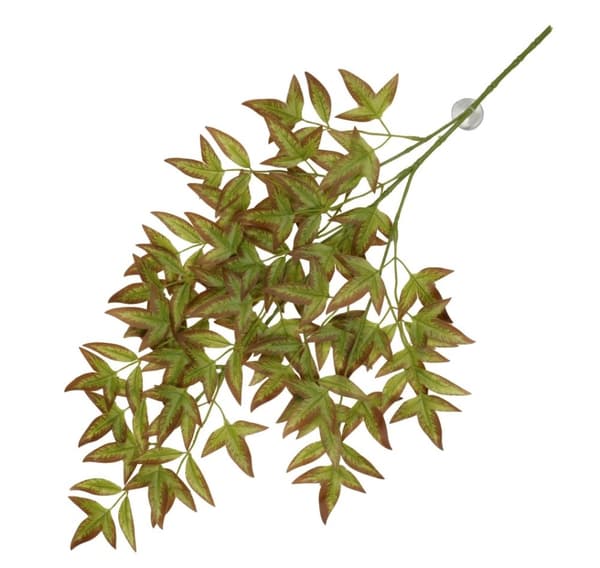 Hängväxt med sugkoppar Nandina 65x35x1,5cm, grön/röd