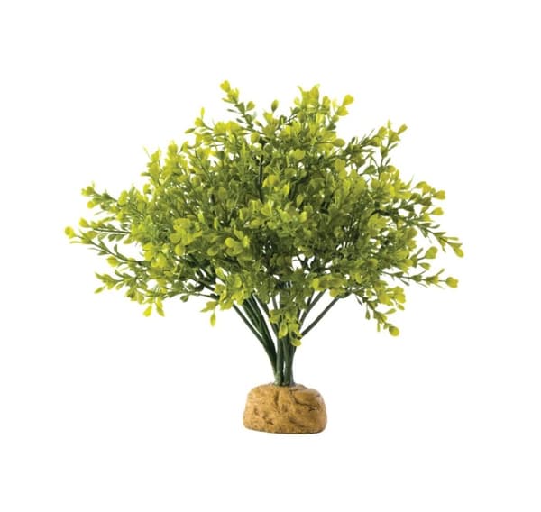 Terrarium decoration, boxwood bush, EXO-TERRA