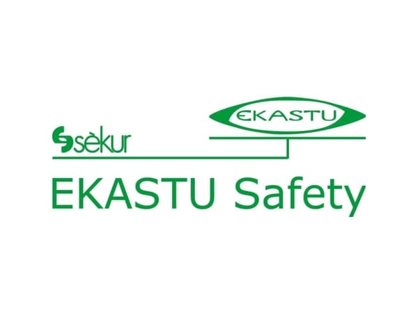 Suodatin 200 P3R D EKASTU Sekur 422 395 P3R D 8 kpl
