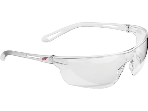 Red Wing Red wing Glasses red wing feather lantern transparent