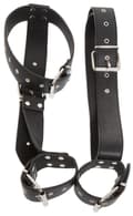 Miniatyrbillede 2 af 2: Neck and Hand Restraints
