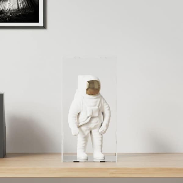 vidaXL montre 20x20x38 cm akryl transparent