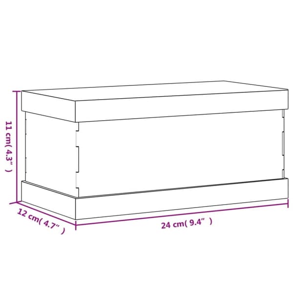 montre 24x12x11 cm akryl transparent