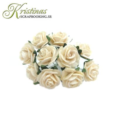 Mulberry Rose - 10 mm - Creme